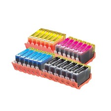 Cartuccia di inchiostro 24 per