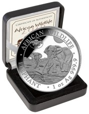 Somalia 100 Sh. 2026 Elefante