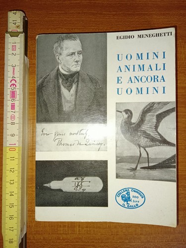 Meneghetti egidio uomini - egidio,,