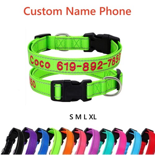 Collare cane personalizzato