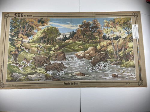 Seg paris cinghiale caccia - seg,