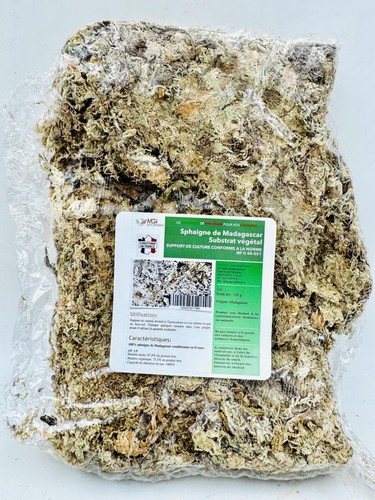 Sfagno del madagascar - del,