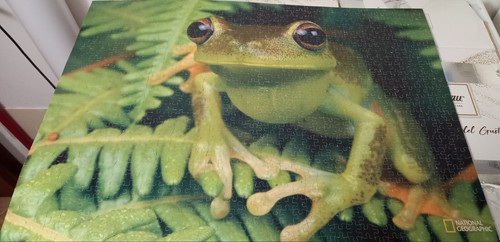 Puzzle 1000 pezzi montato - 1000,