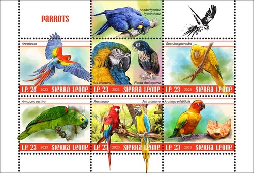 Francobolli pappagalli mnh - francobolli,