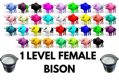 Bisonte femmina livello - 1,