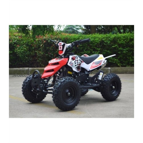 Miniquad raptor xxl 49cc quad - xxl,