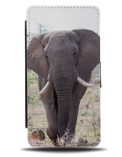 Elefante vita reale foto flip
