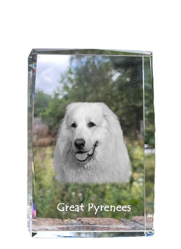 Cane montagna dei - cane,