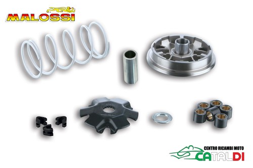 Kit variatore completo malossi - completo,