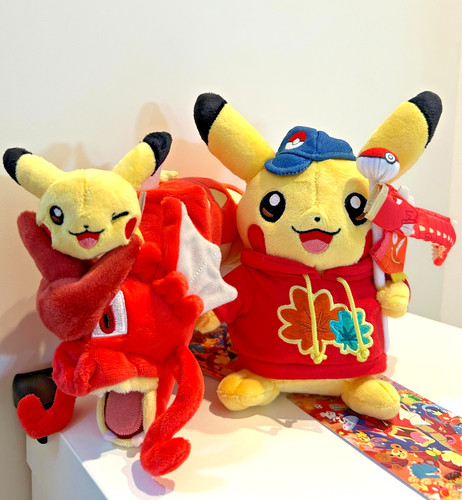 Pokemon centro rinnovamento - centro,