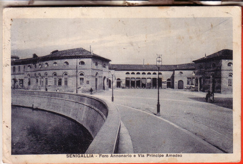 Cartolina senigallia fp - ,