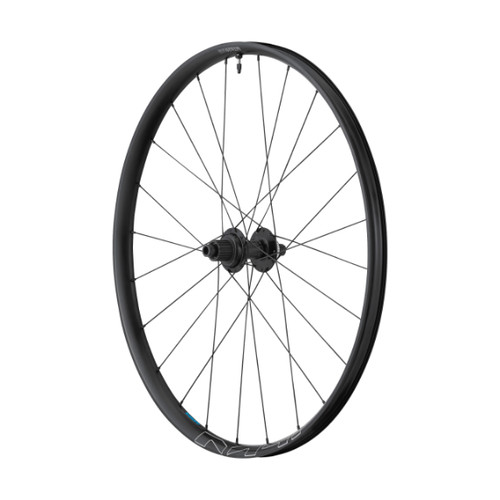 Ruota posteriore ciclo - ruota,
