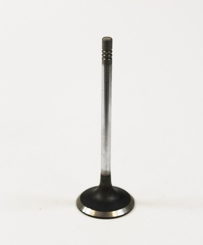 Inlet valve for ford fiesta - for, &