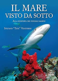 Mare visto sotto alla - visto, sotto.