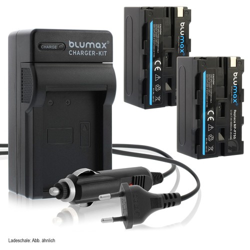 Batteria caricatore per - 2x,