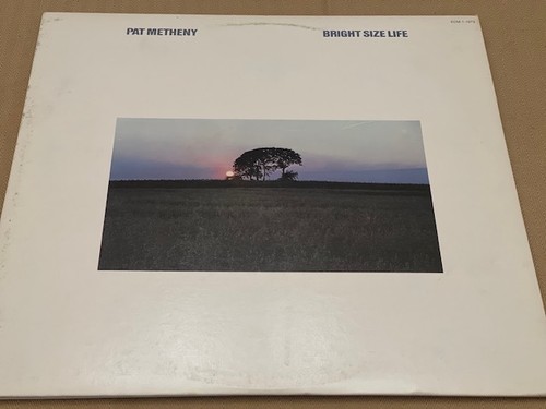 Pat metheny bright size life - size,