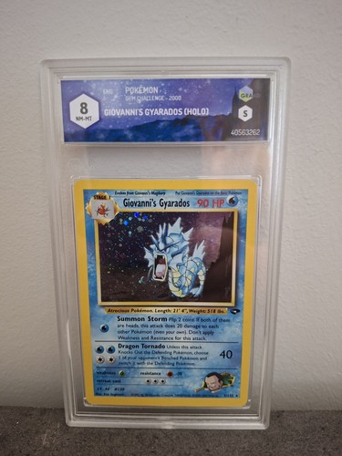 Giovanni gyarados graad - giovanni's,