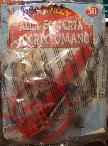 Alla scoperta del corpo - , umano