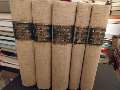 Istituzioni anatomia - di,