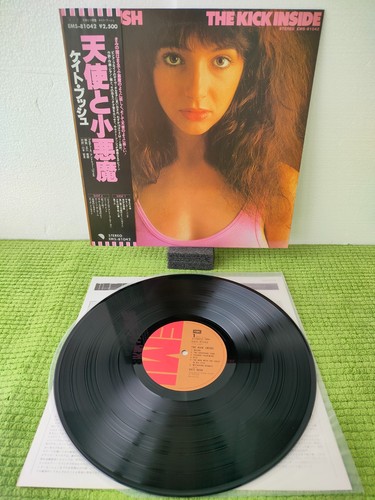 Kate bush the kick - bush,