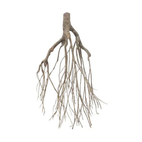 Radice acquario decorazione - radice,