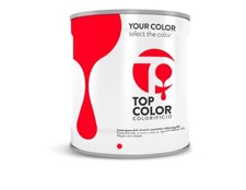 Smalto Vernice Opaca 1k Adesione Diretta Zinco Alluminio - Tinta a scelta 1 Kg