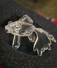 Statuina pesce telescopio