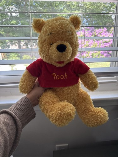 Winnie the pooh plush - winnie, toy