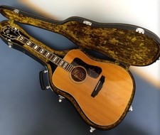 Aria GL500 Guild D-55 modello