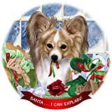 Papillon limone cane bianco - papillon, limone/cane