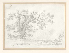 Stampa antica originale Studio