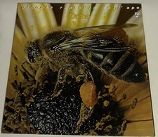 Le Orme “Piccola Rapsodia Dell’Ape” 1980 Lp 33 giri Gatefold 6323 102