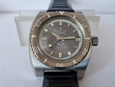 Levrette Tiger Shark 500