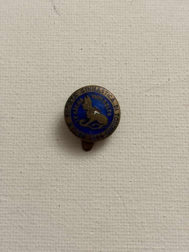 Pin ginnastica torino - ginnastica, anni