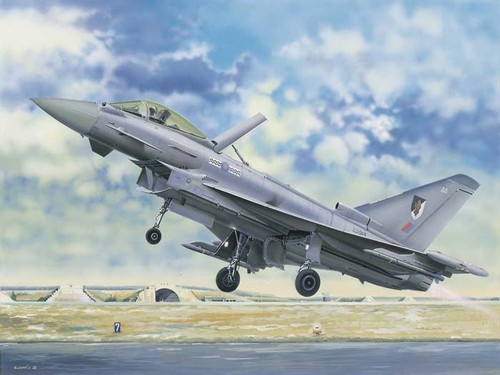 Trumpeter kit ef 2000 - 1:32,