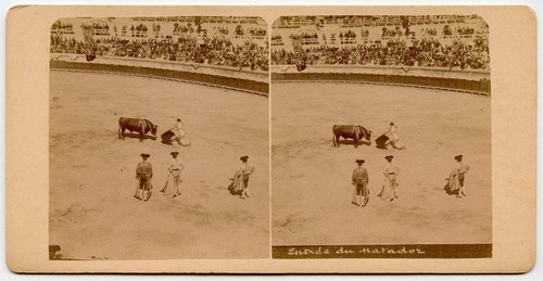 Bull fight corrida matador - bull, fight,