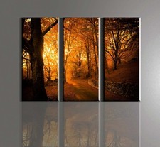 QUADRI MODERNI ALBERI BOSCO