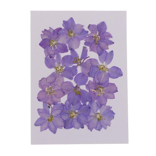 Pezzi veri fiori secchi - di,