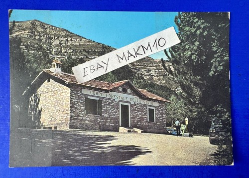 Cartolina foto carpegna - cartolina,