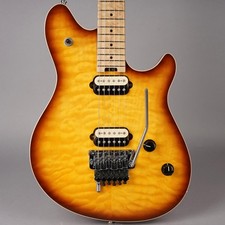 EVH Wolfgang Special Floyd