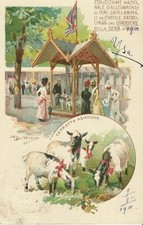 Milano-Esp. Nazionale d'Allevamento di Cani e Gatti e Animali da Cortile 1901