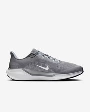Nike Air Zoom Pegasus 41