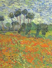 RAVEN BIOLOGY OF PLANTS By Ray