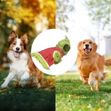 Costume Grinch cucciolo UK