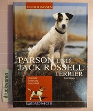 Parson und Jack Russel