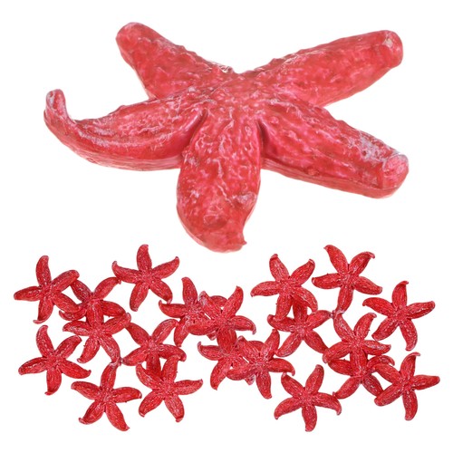 Confezione stelle marine - confezione,