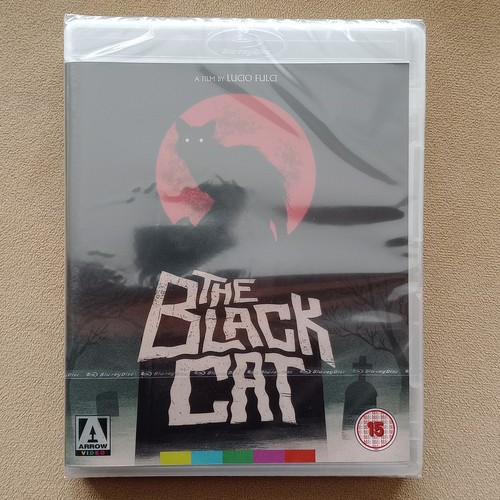 Gatto nero black cat - gatto,
