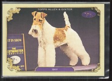 2024 Topps Allen & Ginter