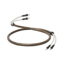 QED SIGNATURE SUPREMUS ZR