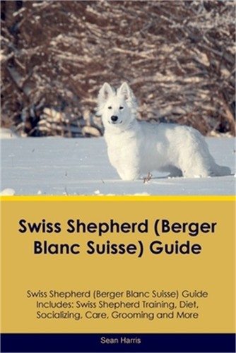 Swiss shepherd berger - shepherd, blanc